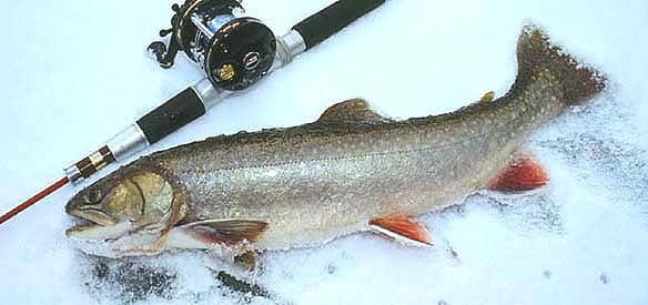 leurre truite moulac