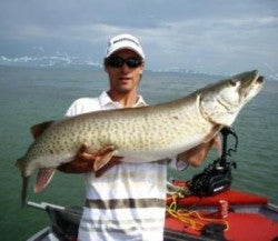 Musky1_2