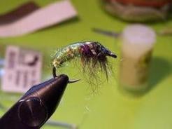 00 nymphetcheque_elkhaircaddis